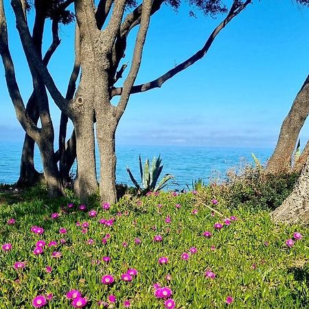 Maison U Nidu A 500M De La Mer Cervione Kültér fotó