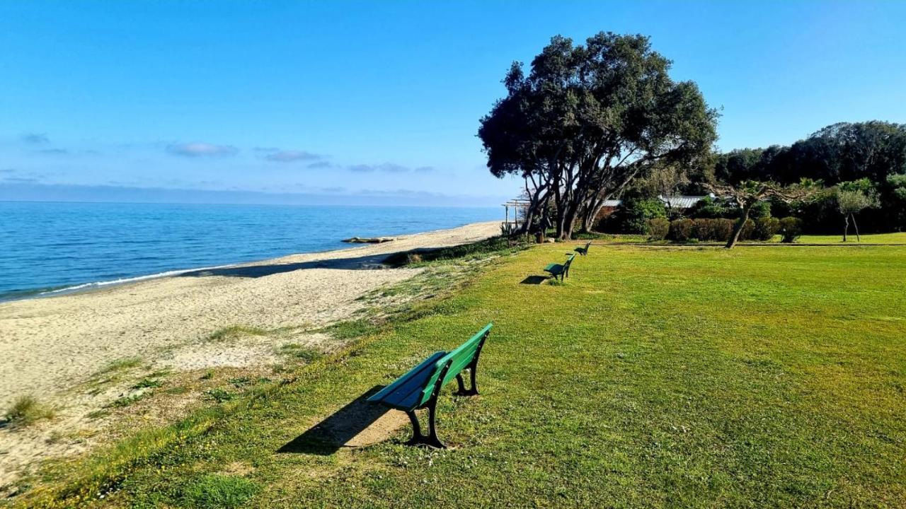 Maison U Nidu A 500M De La Mer Cervione Kültér fotó
